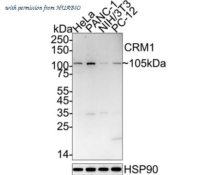 HUABIO ET7107-27 image 1