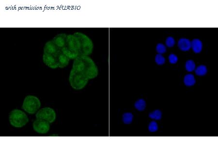 HUABIO ET7107-27 image 2