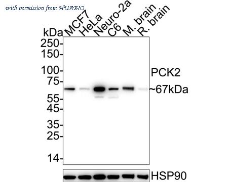 HUABIO ET7107-29 image 1