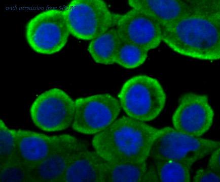 HUABIO ET7107-35 image 3