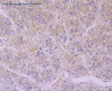 HUABIO ET7107-37 image 3