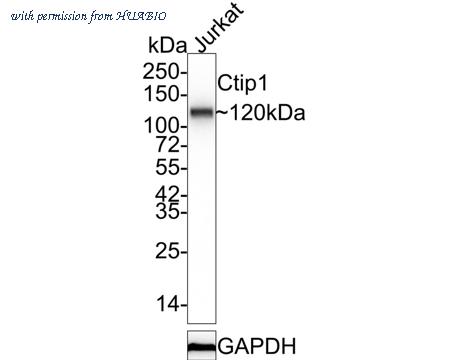 HUABIO ET7107-38-50UL image 1