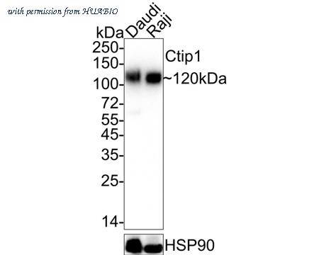 HUABIO ET7107-38-50UL image 2
