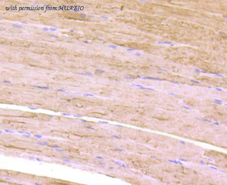 HUABIO ET7107-39 image 3