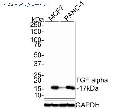 HUABIO ET7107-40 image 1