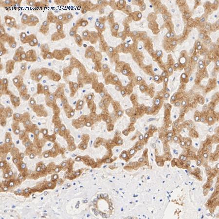 HUABIO ET7107-40 image 2