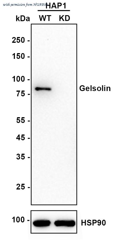 HUABIO ET7107-45 image 2
