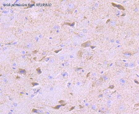 HUABIO ET7107-46 image 3