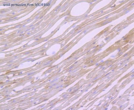 HUABIO ET7107-48 image 2