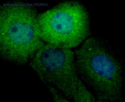 HUABIO ET7107-50 image 2