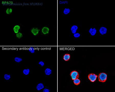 HUABIO ET7107-51 image 3