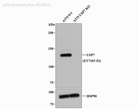 HUABIO ET7107-53 image 1