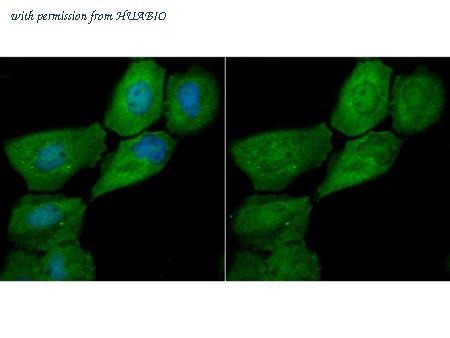 HUABIO ET7107-54 image 3