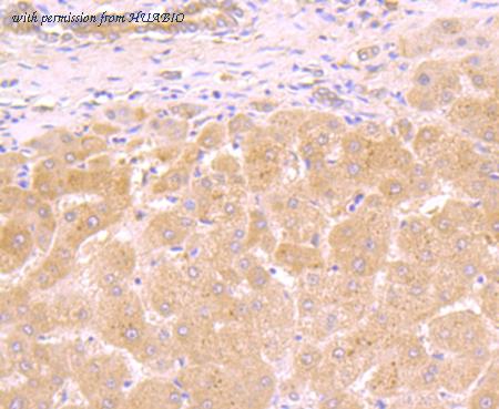 HUABIO ET7107-56 image 3