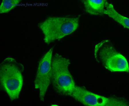 HUABIO ET7107-57 image 3