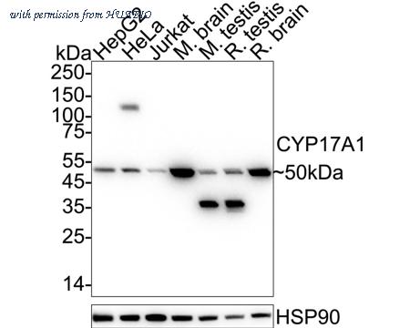 HUABIO ET7107-61 image 1