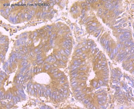 HUABIO ET7107-63 image 2