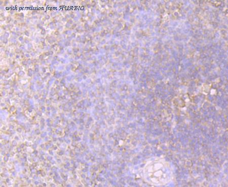 HUABIO ET7107-63 image 3