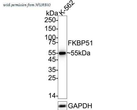 HUABIO ET7107-64 image 2