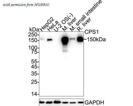 HUABIO ET7107-69 image 1
