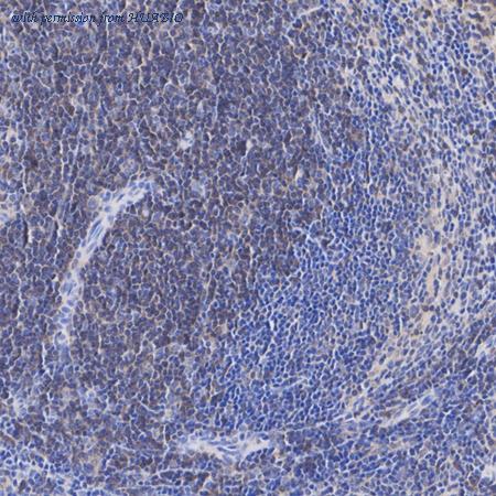 HUABIO ET7107-73 image 2