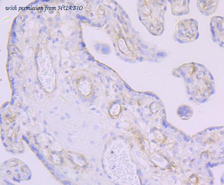 HUABIO ET7107-92 image 2