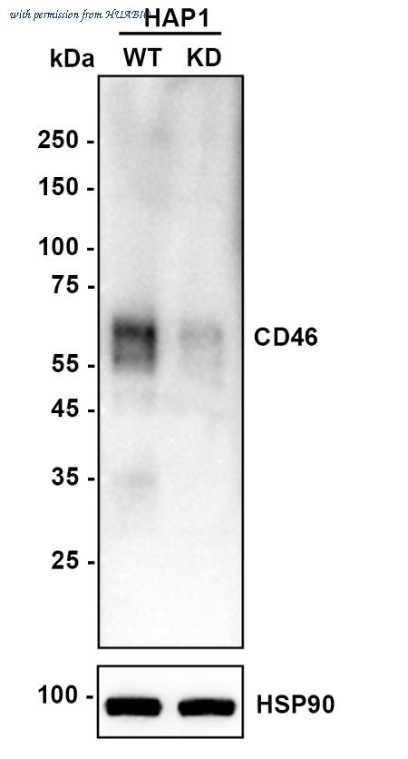 HUABIO ET7107-94 image 1