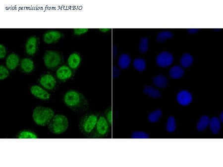 HUABIO ET7107-96 image 3