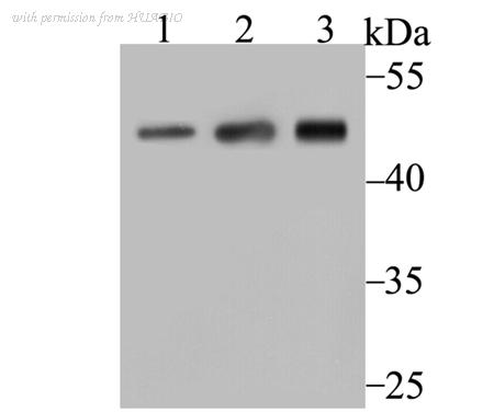 HUABIO ET7107-97 image 1