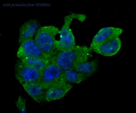 HUABIO ET7108-03 image 3