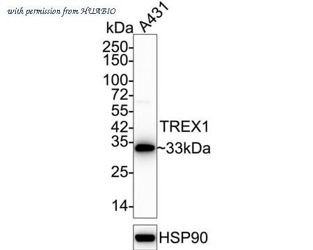 HUABIO ET7108-16 image 1