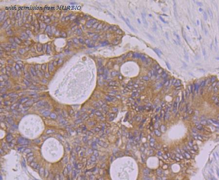 HUABIO ET7108-19 image 3