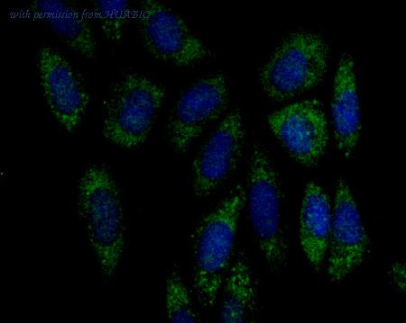 HUABIO ET7108-20 image 3