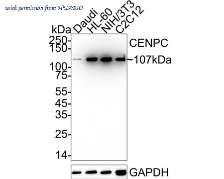 HUABIO ET7108-24 image 1