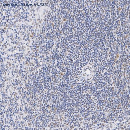 HUABIO ET7108-24 image 2