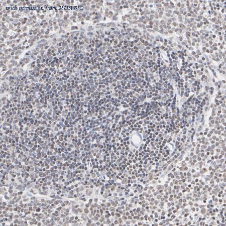 HUABIO ET7108-24 image 3