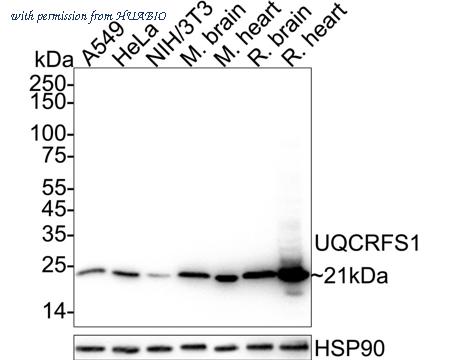 HUABIO ET7108-28 image 1