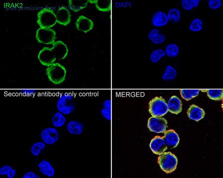 HUABIO ET7108-29 image 2