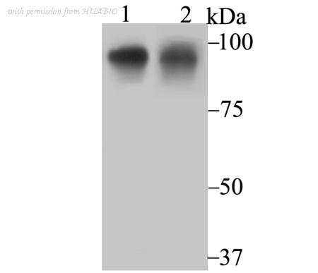 HUABIO ET7108-30 image 1