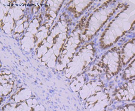 HUABIO ET7108-30 image 2