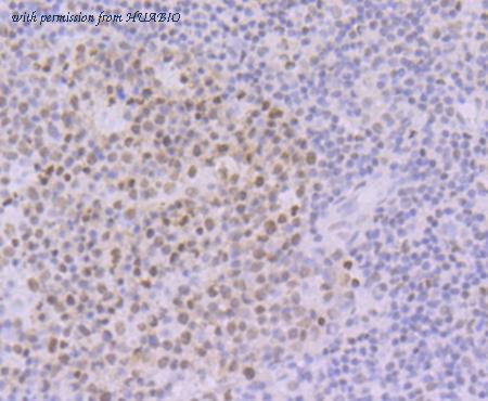 HUABIO ET7108-30 image 3