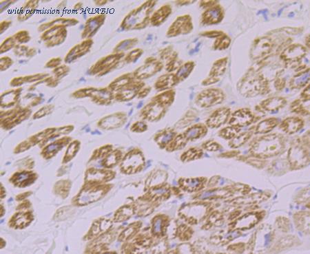 HUABIO ET7108-33 image 3