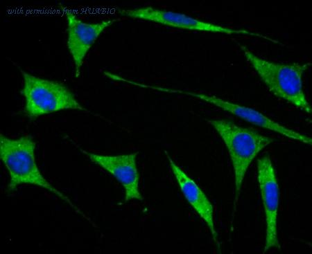 HUABIO ET7108-34 image 2