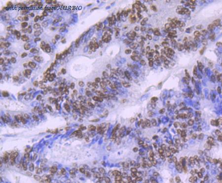 HUABIO ET7108-36 image 2