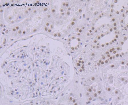 HUABIO ET7108-36 image 3