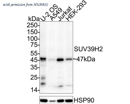 HUABIO ET7108-37 image 1