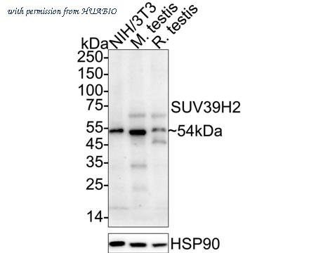 HUABIO ET7108-37 image 2