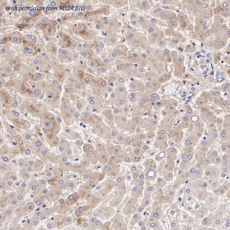 HUABIO ET7108-45 image 2