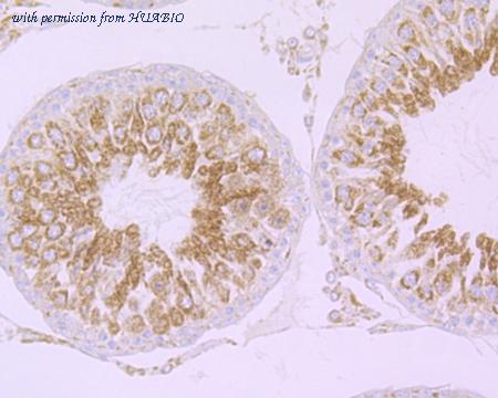 HUABIO ET7108-47 image 2