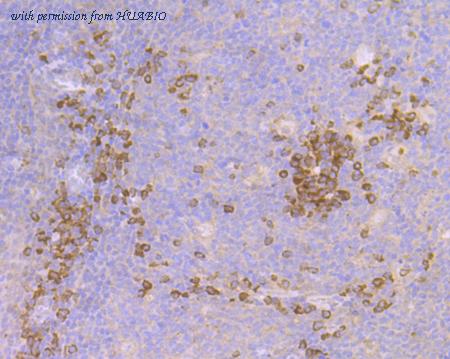 HUABIO ET7108-47 image 3